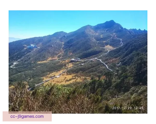 美洲杯赛场强强对话胜负关键解析与战术博弈全景观察球队实力心理节奏